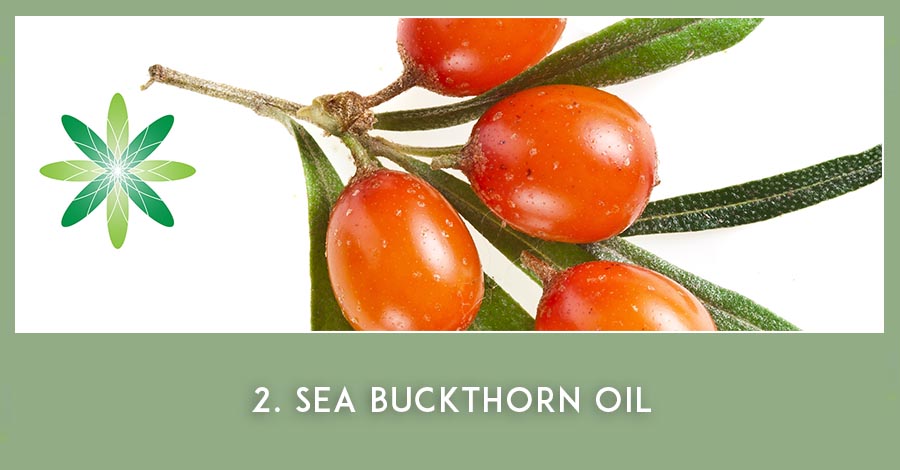 Sea buckthorn oil - Nordic Beauty Ingredients