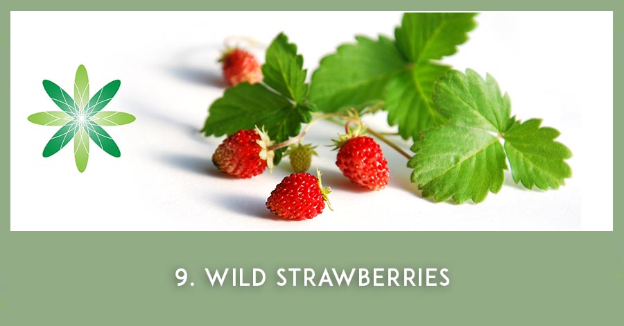 Wild strawberries